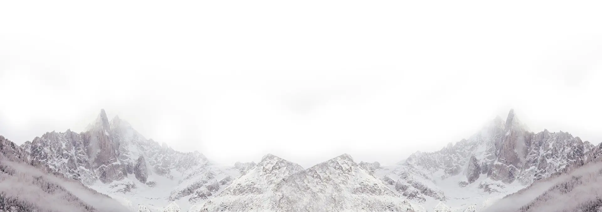 合作伙伴背景