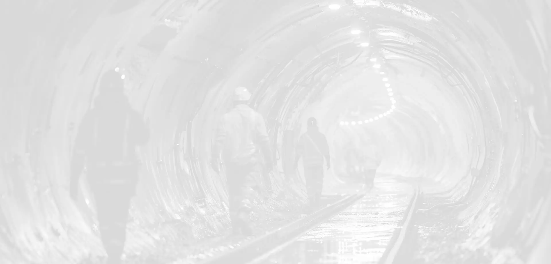 company_background